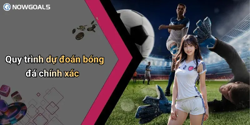 Quy trình dự đoán bóng đá chính xác