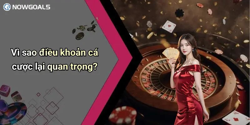 Vì sao điều khoản cá cược lại quan trọng?