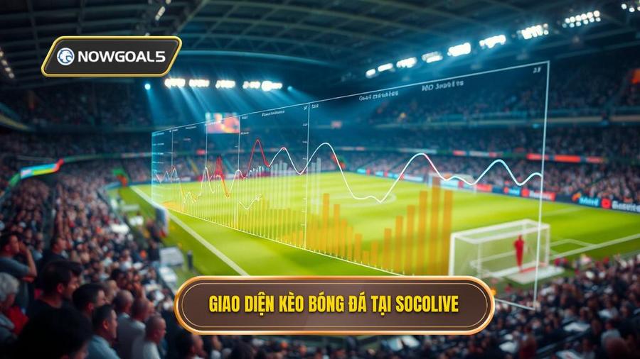 1. Hiểu rõ về kèo bóng đá Socolive là gì?