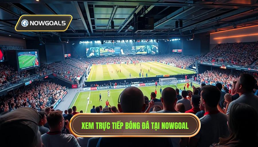 Tại sao nên xem đội tuyển quốc gia live trên NOWGOAL?