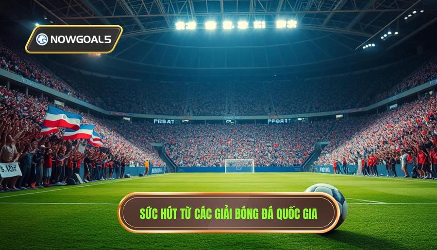 Phân tích sức hấp dẫn của các giải đấu đội tuyển quốc gia