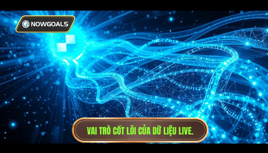 Phân tích đa chiều: Tầm quan trọng của dữ liệu Live